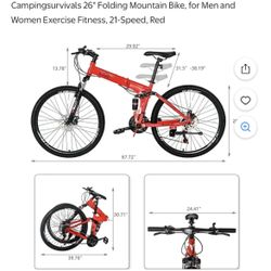 Folding Bike
