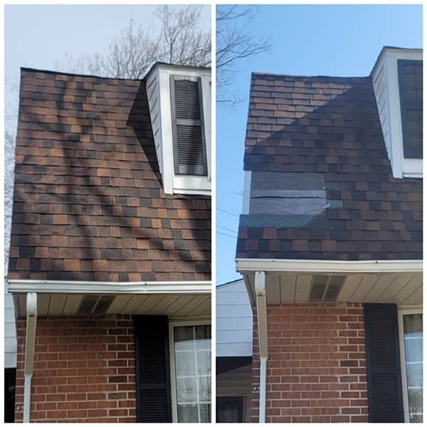 NEW SHINGLES