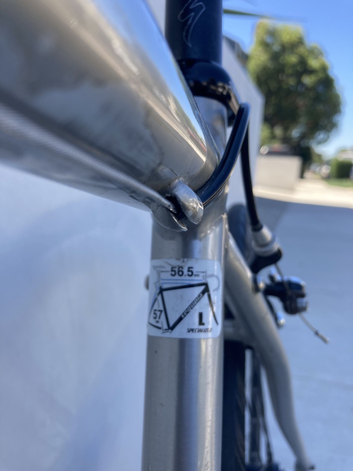 Specialized Sequoia Carbon Fork Road Bike for Sale in Los Angeles