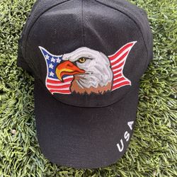 American Eagle And USA Flag Hat