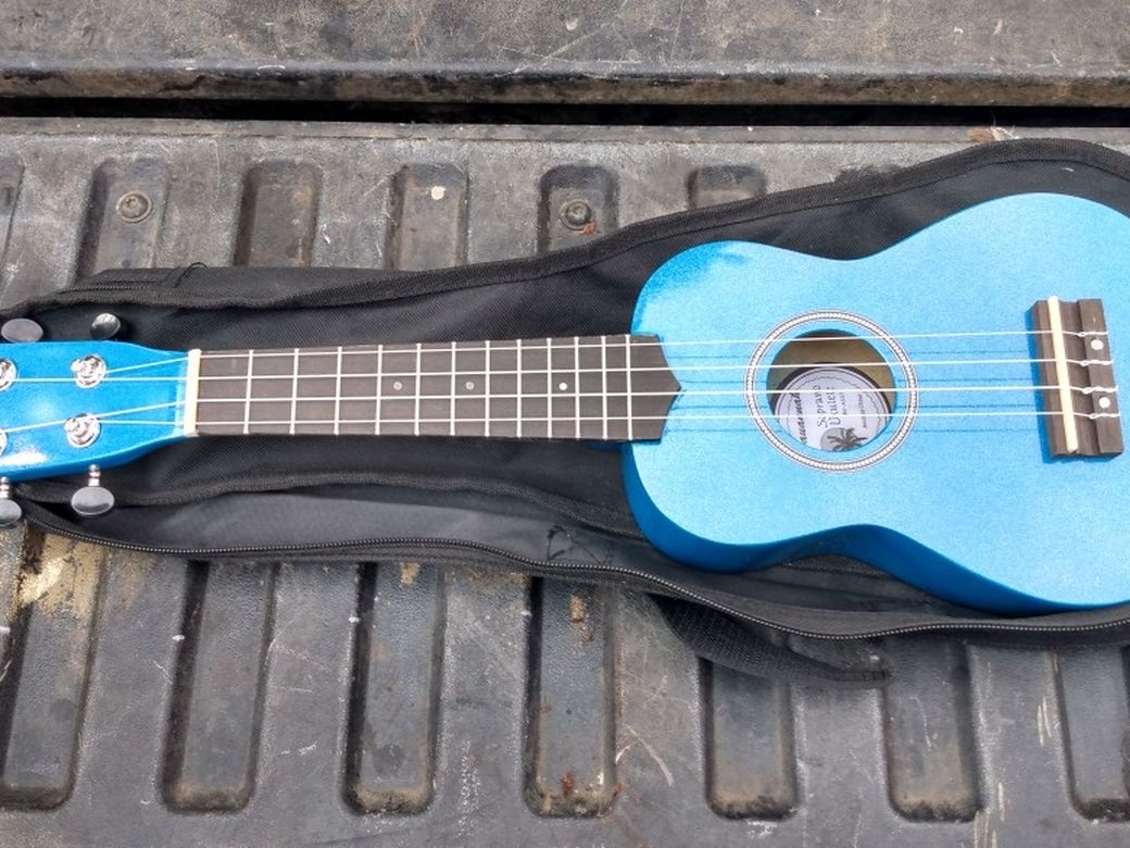Savannah soprano ukulele with case like new $29