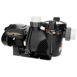 Swimming Pool Pump Motors