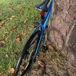 Trek Marin 4 Mountain Bike 