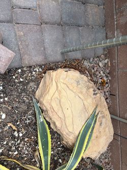 Slab Rock cut