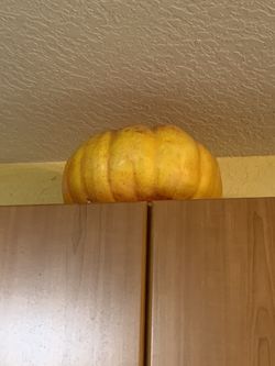 Beautiful Home Decor