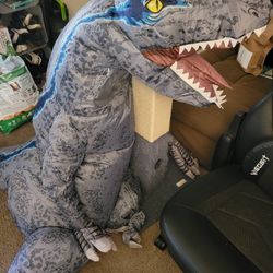 Dinosaur 🦕  Custome