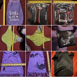 $4+ doggo shirts, costume, birthday hat, harness, and carry bag!