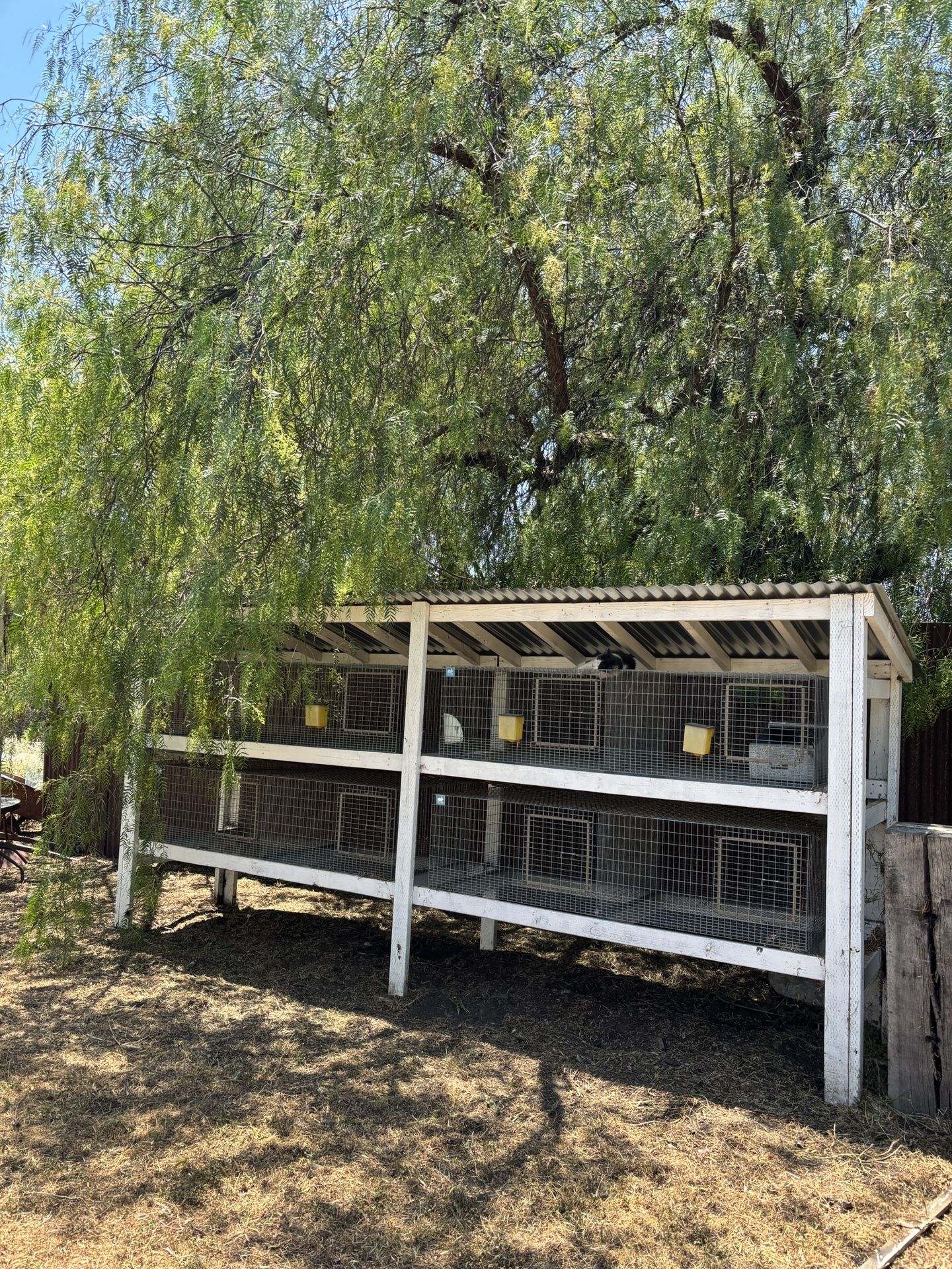 4 Double Brand New KW Rabbit Cages with Frame And Roof.