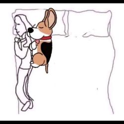 Time For A Bigger Bed!