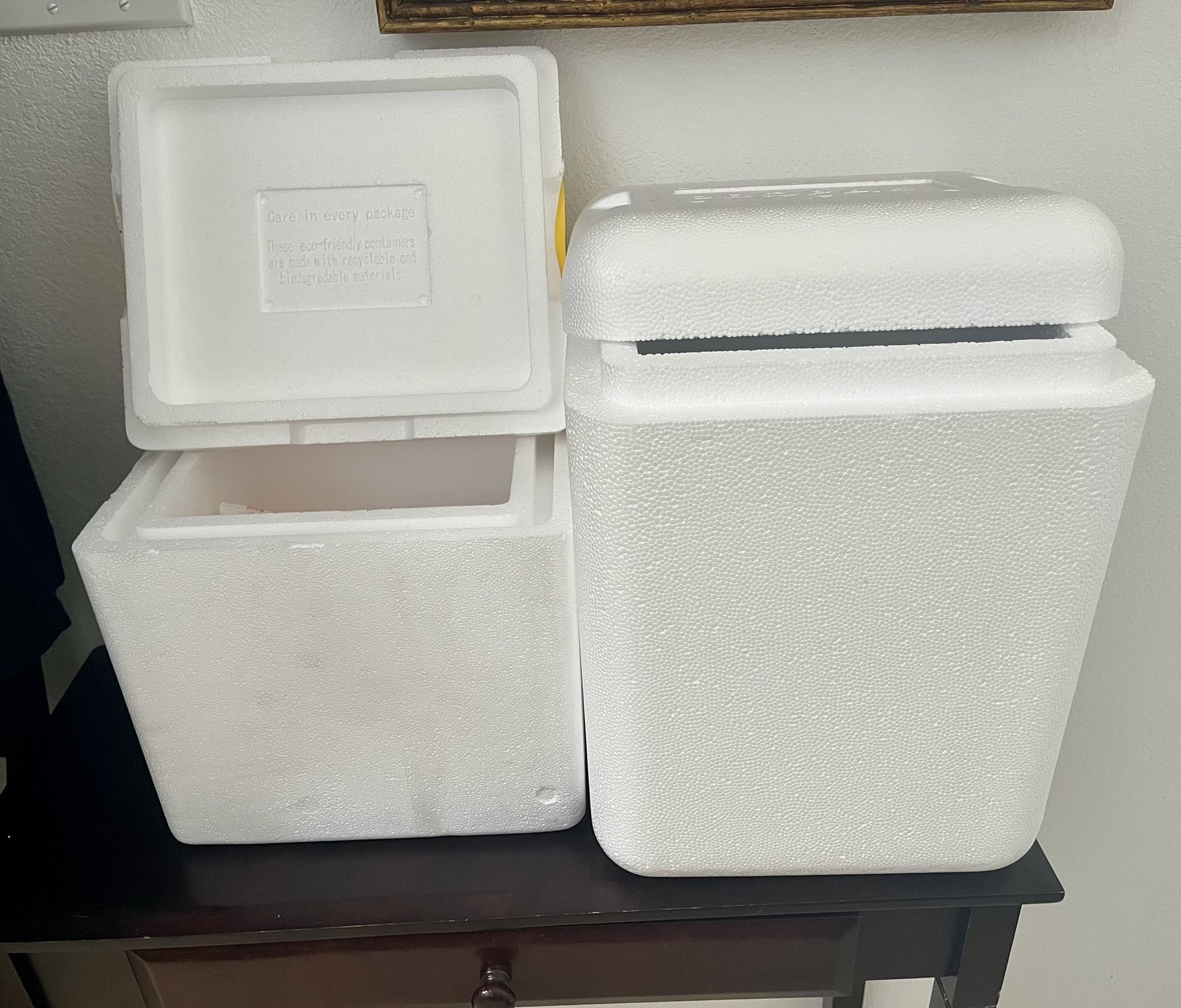 FREE 2 small styrofoam coolers w/icepacks - READ description 