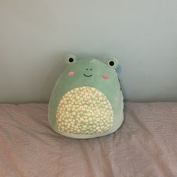 Wendy The Frog Squishmallow