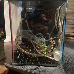 Fish Tank 