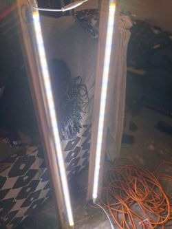 Indoor growing lights