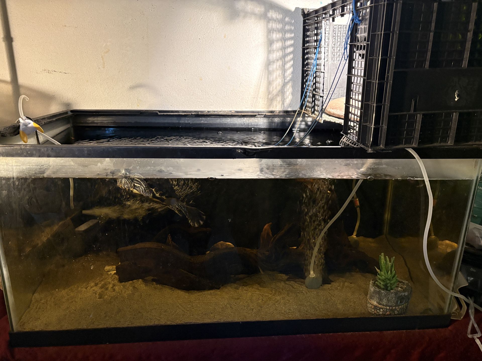 Tanks, Filters ,heater