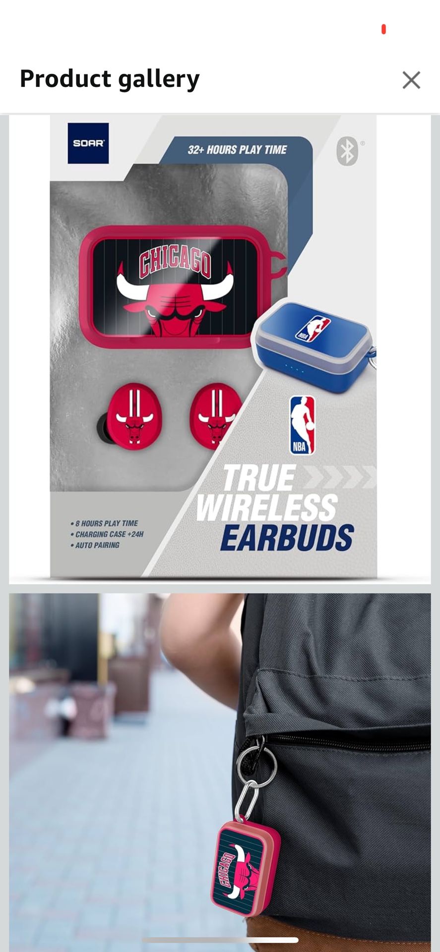 Chicago bulls Earbuds 