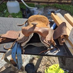 Horse Saddles