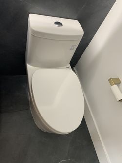 Dual flush modern design toilet