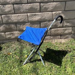 Folding Chair / Walking Stick
