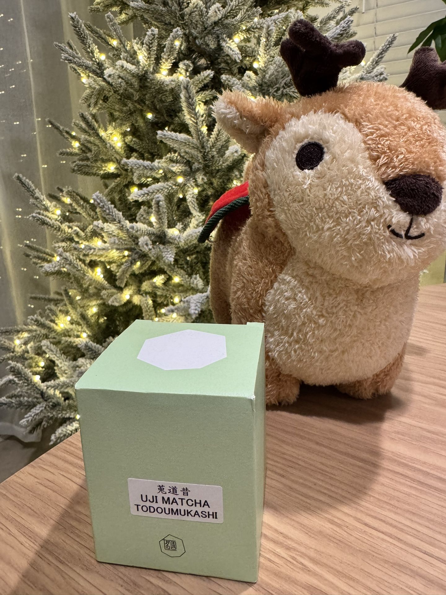 Uji, Japan Matcha Powder - Horii shichimeien Todoumukashi