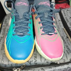 Lebron James XXI Nike Shoes 