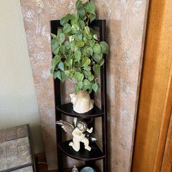 Multipurpose shelf, 17” Wider Point Which Is The Bottom, 49” T, All Items Fur Sale Except The Big Sea Shell, Ask For Prices  Please. Shelf Alone $29