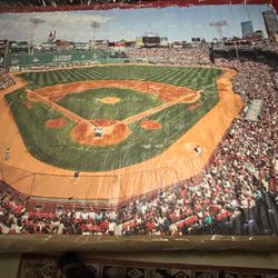 Huge 4x6 Foot Fathead Vinyl Wall Sticker Of Boston Redsox Fenway Park 