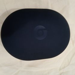 Beats Wireless carrying case