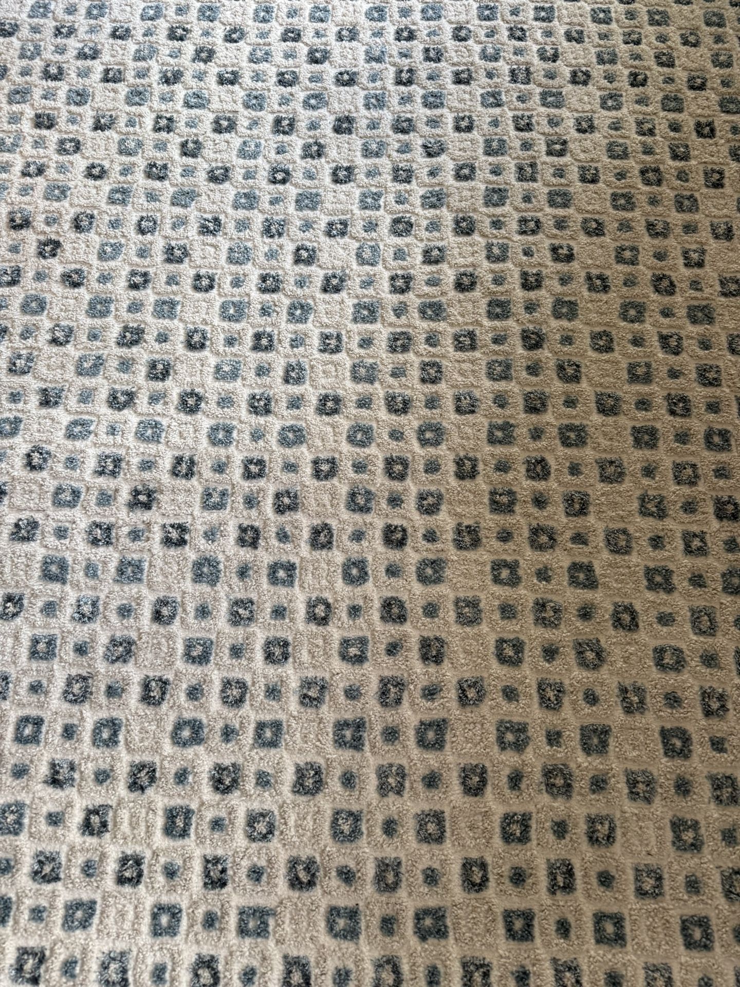 Area Rug