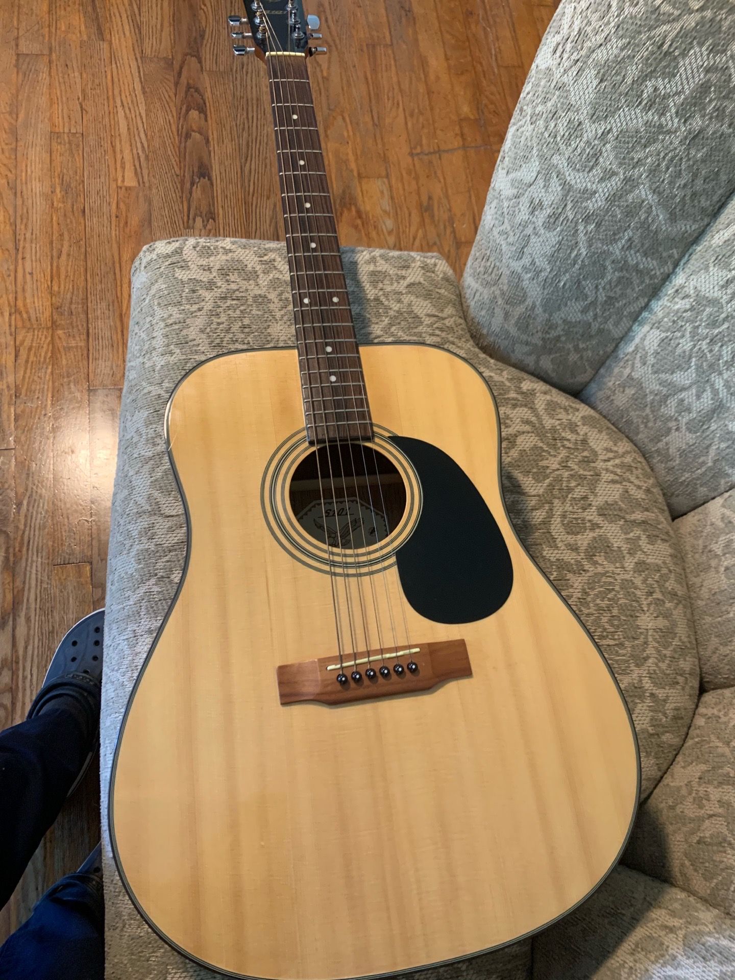 Guitar acoustic S101