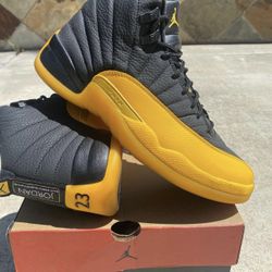 Jordan 12 Gold University 