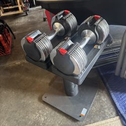 Weider Core Adjustable Dumbbells