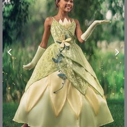 Princess Tianna Size Child Small Dress