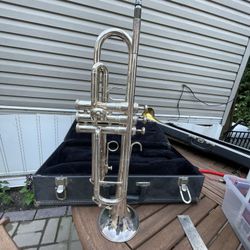 King Trumpet 