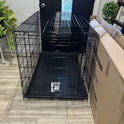 New Dog Kennel 