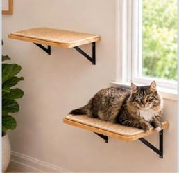 2 piece Cat shelves wall