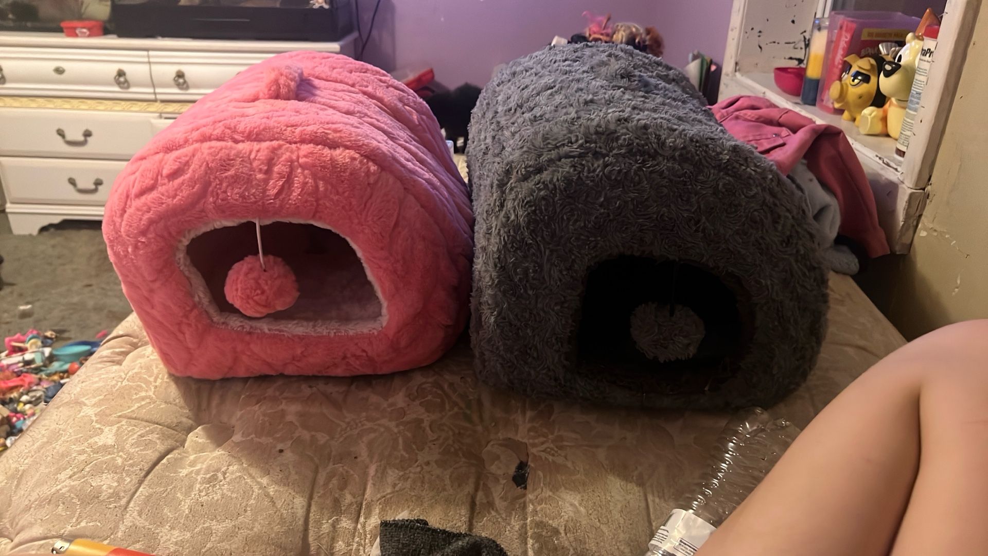 Two Cat Beds