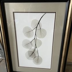 Framed Wall Art