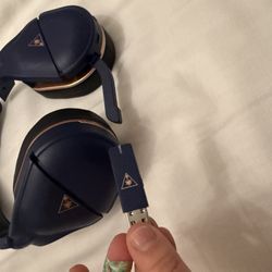 Turtle Beach 