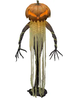 Halloween decorations $100