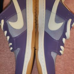 Nike Dunk Sb Low Size 10 new