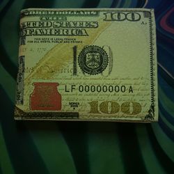 100$ Style Wallet 