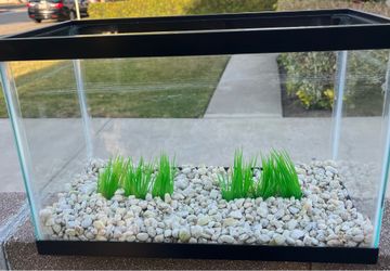 Fish  Tank Glass 5 gallon
