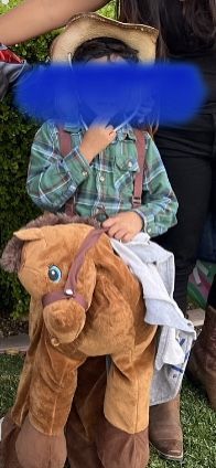 Horse Cowboy Costume Size 5/6 Kids