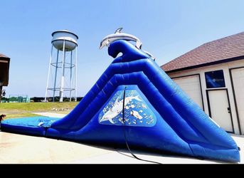 Large dolphin Water slide