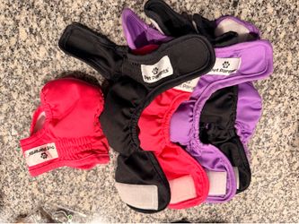 Pet Parents female diapers