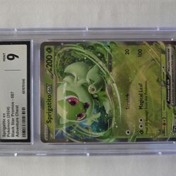 Pokémon Trading Card