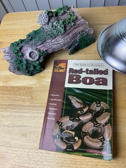 Boa snake care items