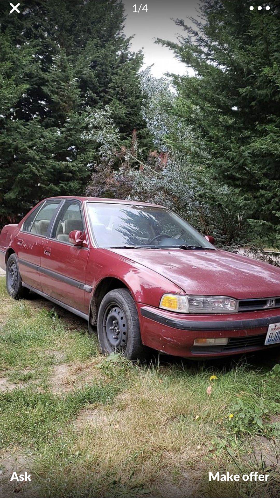 Honda Accord