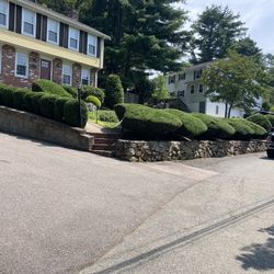 It’s trimming time ! Call 📞 Or Text (contact info removed)