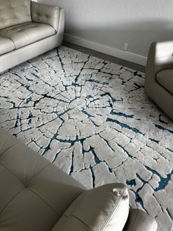 8 x 10 Area Rug